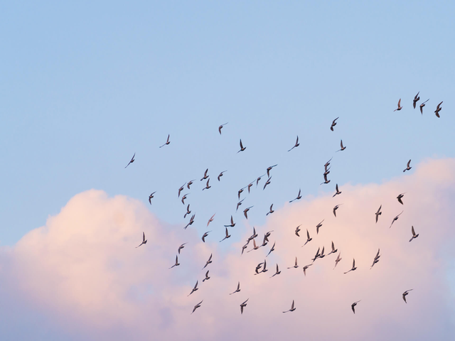 How to migrate from VMware to HyperCloud